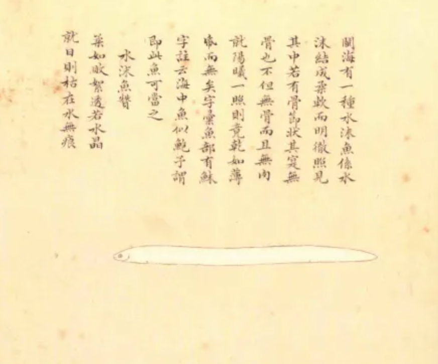 sda-(1).jpg