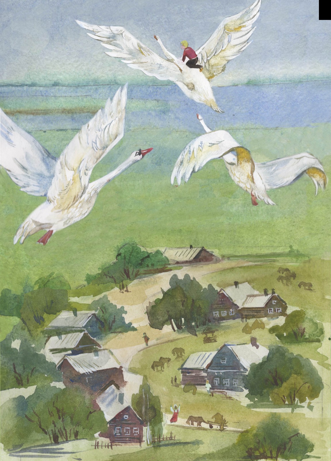 《天鹅》_副本.jpg 《天鹅》_副本.jpg